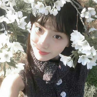 真实猛龙-科学的假设